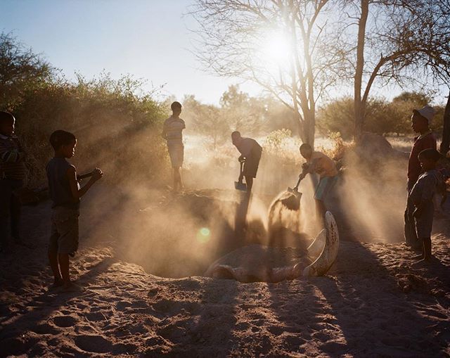 At The Edge Of The Kalahari Desert In Namibia On Assignment For At The Edge Of The Kalahari Desert In Namibia On Assignment For