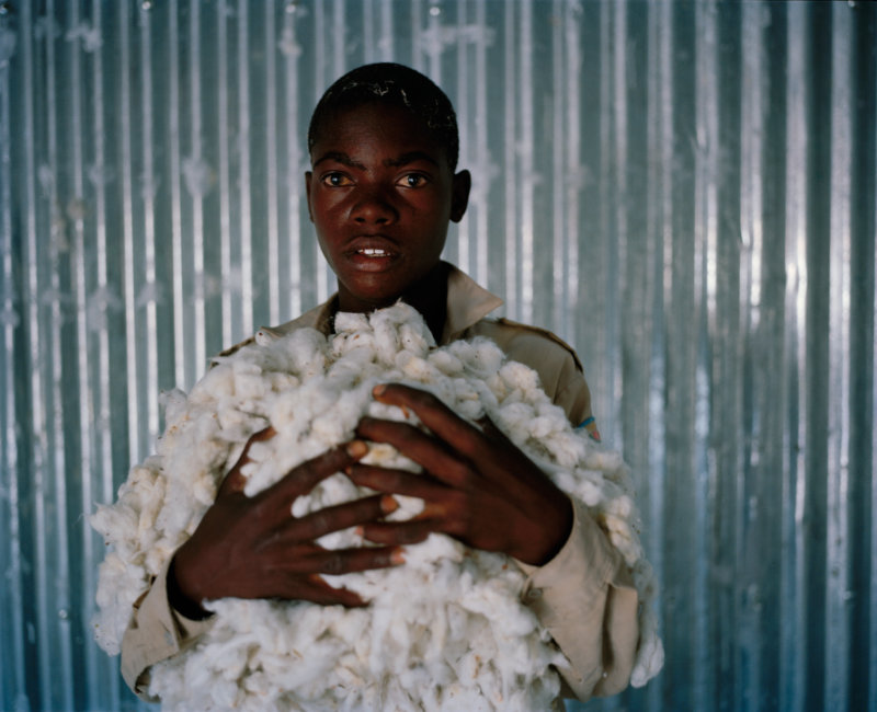 6169.44 001 David Chancellor - cotton - David Chancellor