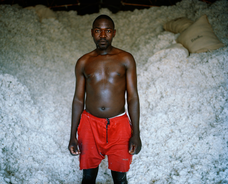 6214.46 001 David Chancellor - cotton - David Chancellor