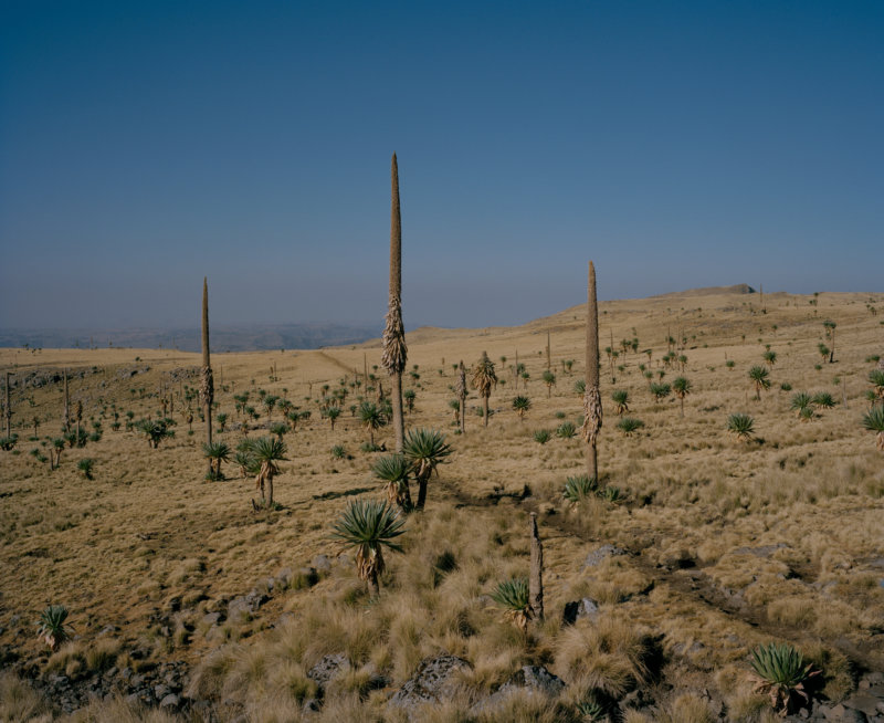 Simien Mountains Ethiopia - land - David Chancellor