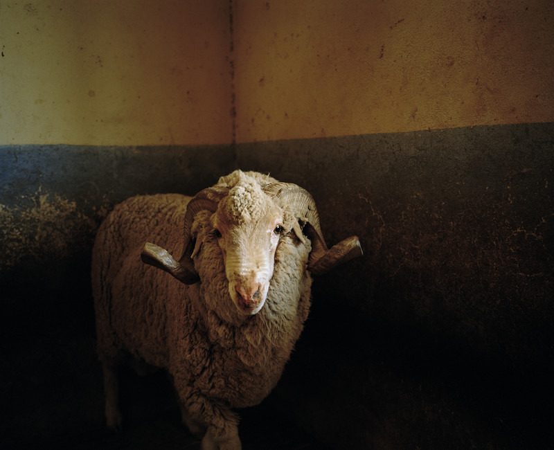 DC 0751.55 001 David Chancellor - some folks - David Chancellor