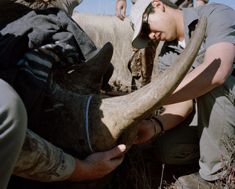 DC 7775.55 001 David Chancellor - caught - David Chancellor