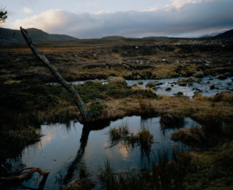 balmoral, scotland - land - David Chancellor