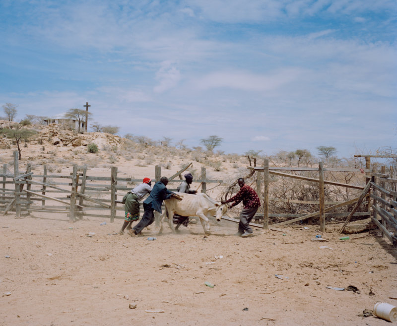 cattle market, meibae, northern kenya - with butterflies and warriors III - David Chancellor