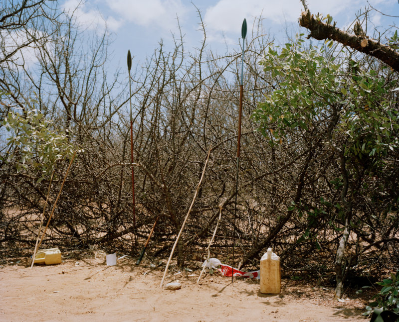 guarding cattle against lion, west gate community conservancy, northern kenya - with butterflies and warriors III - David Chancellor