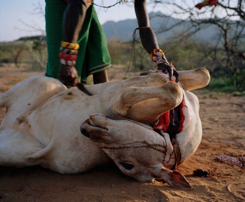lmuget le nkarna # XIV, sasaab village, westgate community conservancy, northern kenya - with butterflies and warriors III - David Chancellor