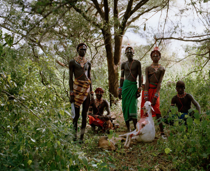 moran and white goat, kalama community conservancy, northern kenya - with butterflies and warriors III - David Chancellor