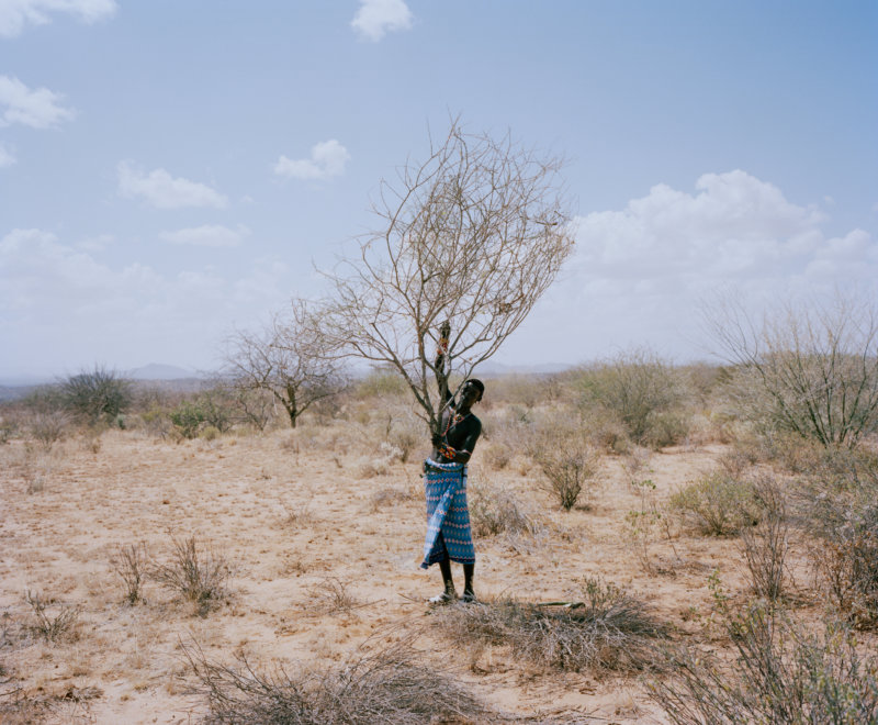 samburu moran # V, west gate community conservancy, northern kenya - with butterflies and warriors III - David Chancellor