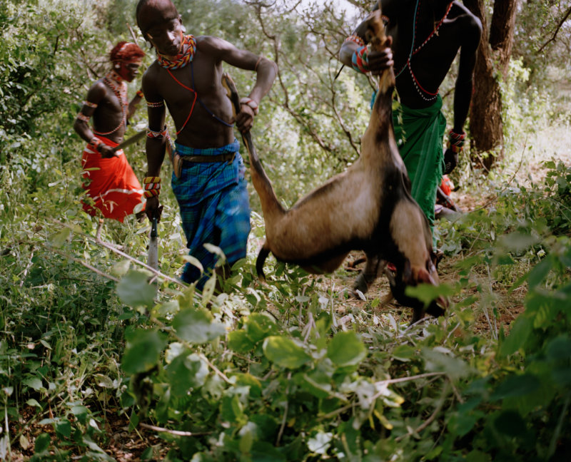 slaughtered goat, kalama community conservancy, northern kenya - with butterflies and warriors III - David Chancellor