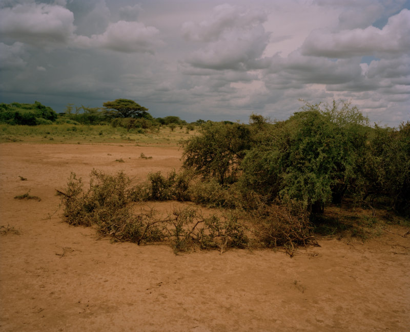 storm over camel boma, shuur community conservancy, northern kenya - land - David Chancellor
