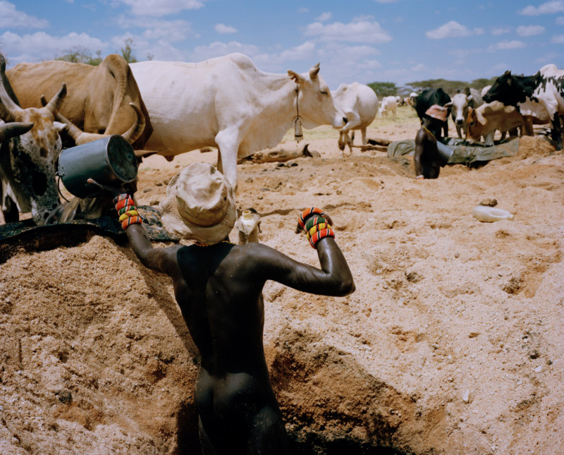 untitled # II, kisima hamsini, sera conservancy, northern kenya - with butterflies and warriors III - David Chancellor