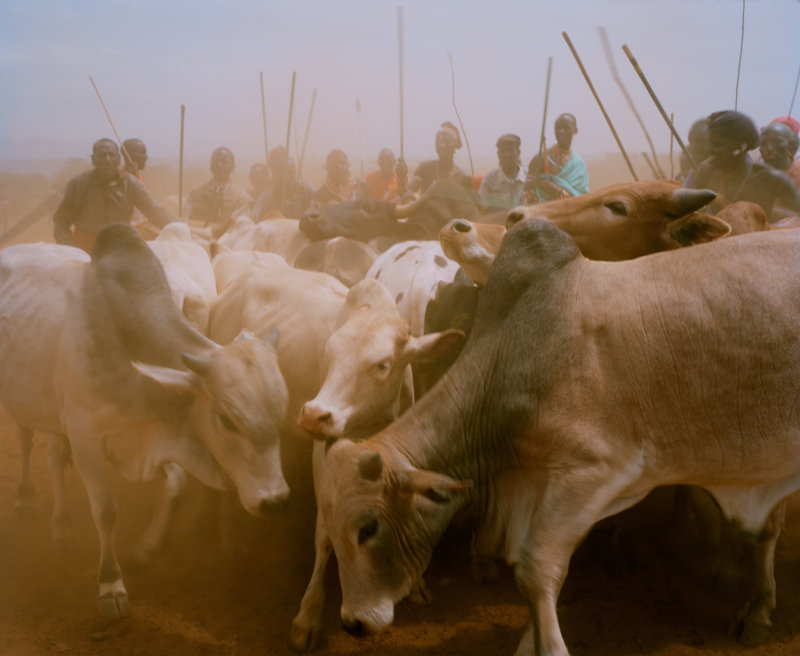 untitled # III, cattle market, meibae community conservancy, northern kenya - with butterflies and warriors III - David Chancellor