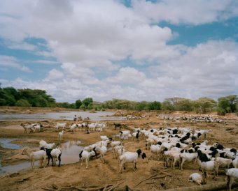 untitled, ewaso nyiro river, biliquo bulesa community conservancy, northern kenya - with butterflies and warriors III - David Chancellor