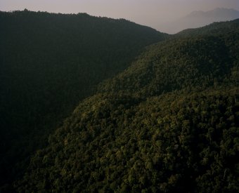 DC 203.48 001 looking towards the mathews range at dawn, northern kenya - land - David Chancellor
