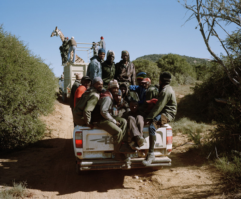 DC 1184.55 001 David Chancellor - caught - David Chancellor