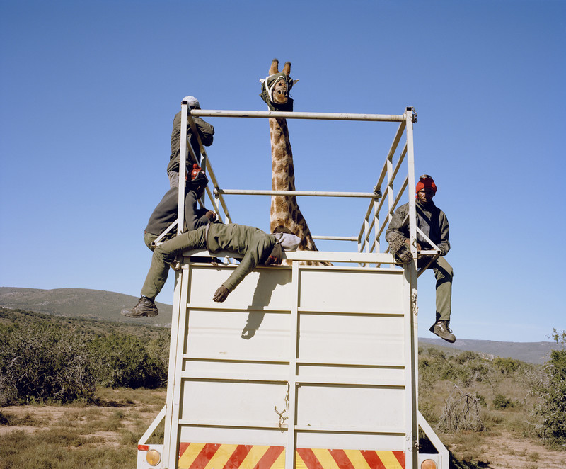 DC 1200.46 001 David Chancellor - caught - David Chancellor