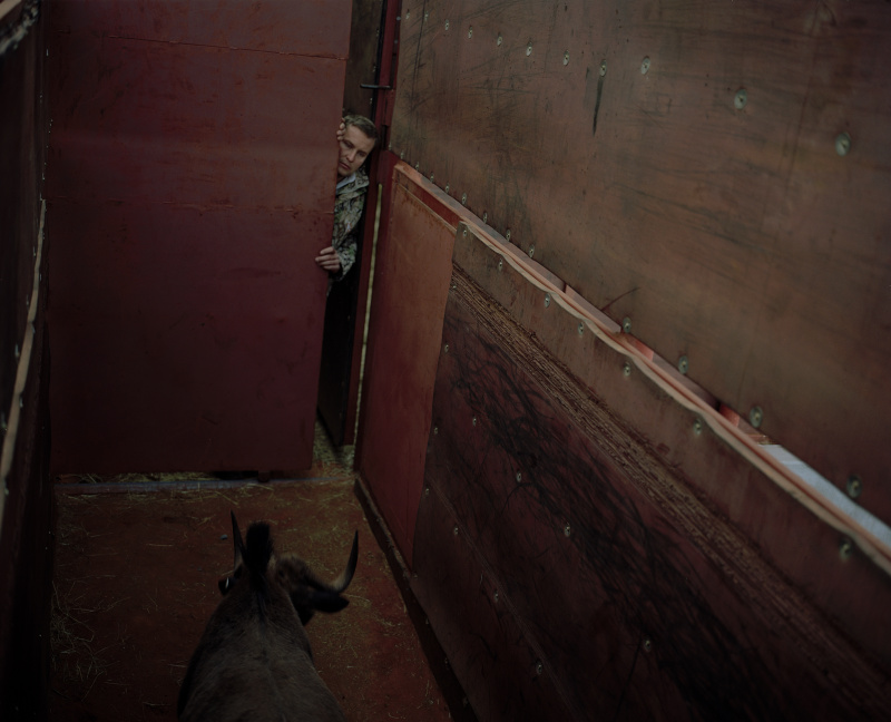  - caught - David Chancellor