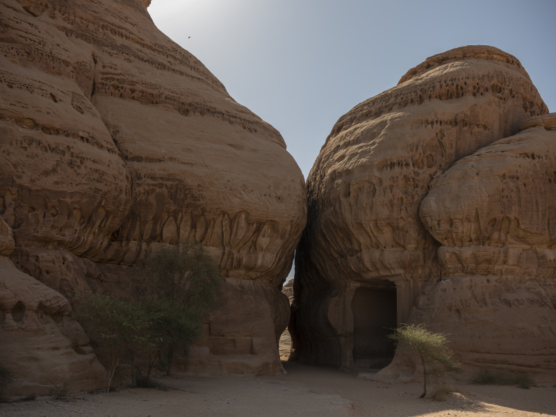  - land - David Chancellor