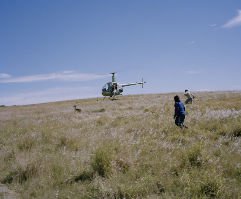  - caught - David Chancellor