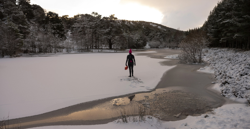  - handle like eggs - David Chancellor