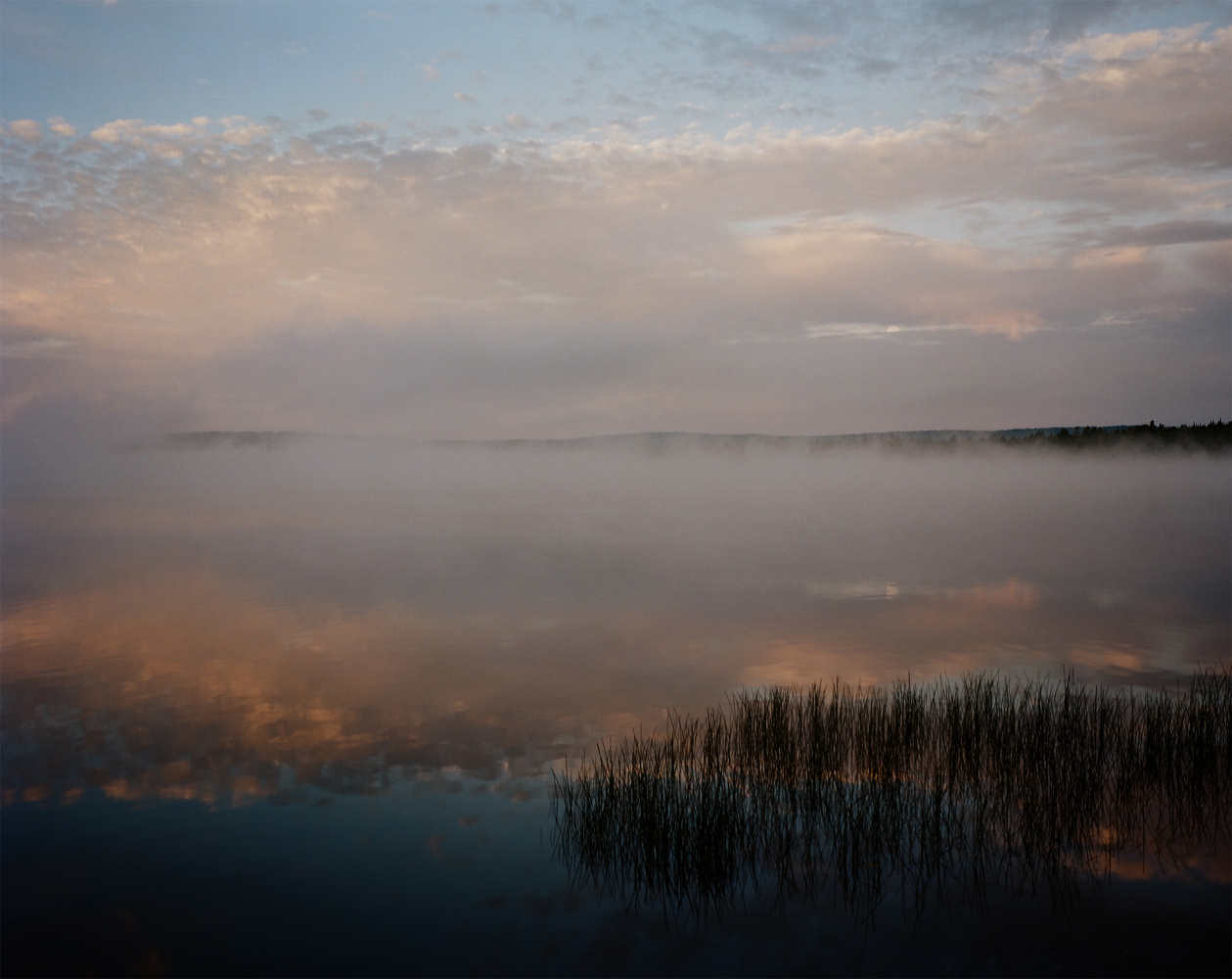 MM8459-David Chancellor-Black Bear Hunting, Stockholm, Maine, USA-10.09.16-18.09.16-Trophy Hunting-NGO-Roll-021 Frame 02 - bear - David Chancellor