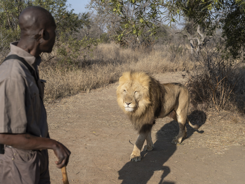  - the lost kingdom - David Chancellor