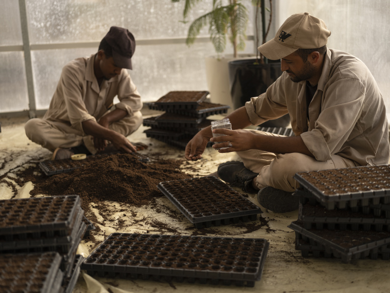 RCU Nursery_AlUla_Saudi Arabia_01.11.22_David Chancellor - re wilding arabia III - David Chancellor