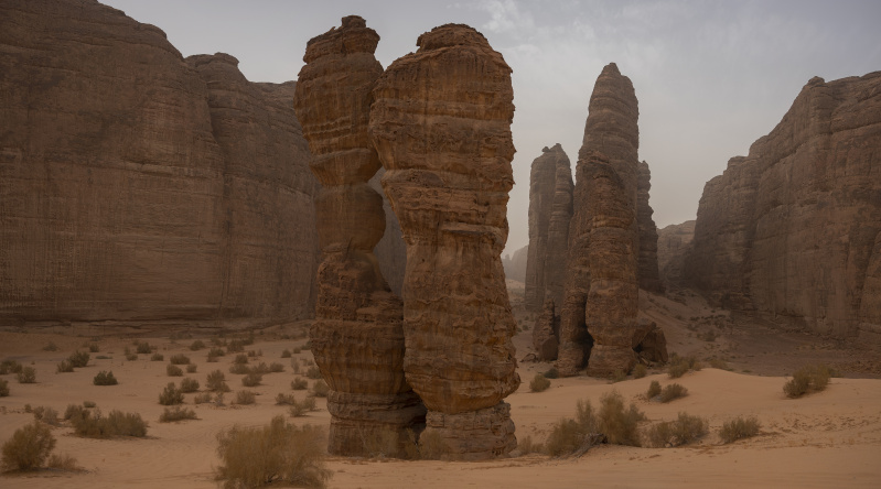 Sharaan Nature Reserve_and_Alula_Saudi Arabia_Wildlife Relocation_04-05.03.22_David Chancellor - rewilding arabia II - David Chancellor