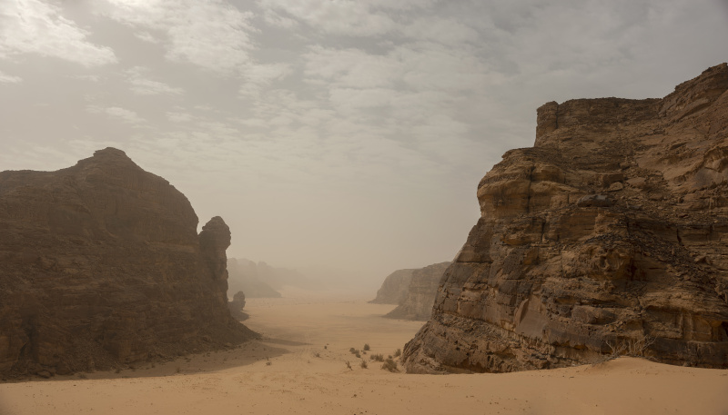 Sharaan Nature Reserve_and_Alula_Saudi Arabia_Wildlife Relocation_04-05.03.22_David Chancellor - land - David Chancellor