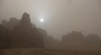 Sharaan Nature Reserve_and_Alula_Saudi Arabia_Wildlife Relocation_04-05.03.22_David Chancellor - land - David Chancellor