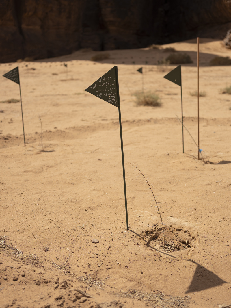 Sharaan Nature Reserve_and_Re-wilding Conference_AlUla_Saudi Arabia_30-31.03.22_David Chancellor - rewilding arabia II - David Chancellor