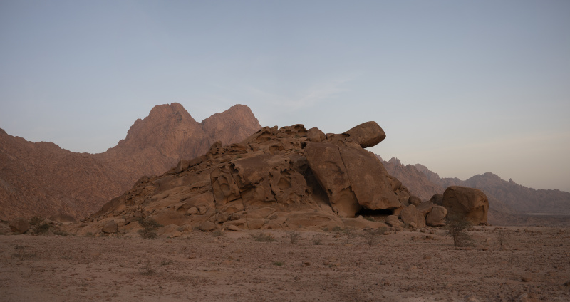 NEOM, Saudi Arabia_05.04.22_David Chancellor - rewilding arabia II - David Chancellor